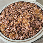 Mix sensoriel Chocolat chaud – Activité sensorielle hiver Brin de frimousse