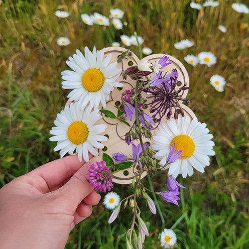 Fleur à broder Brin de frimousse